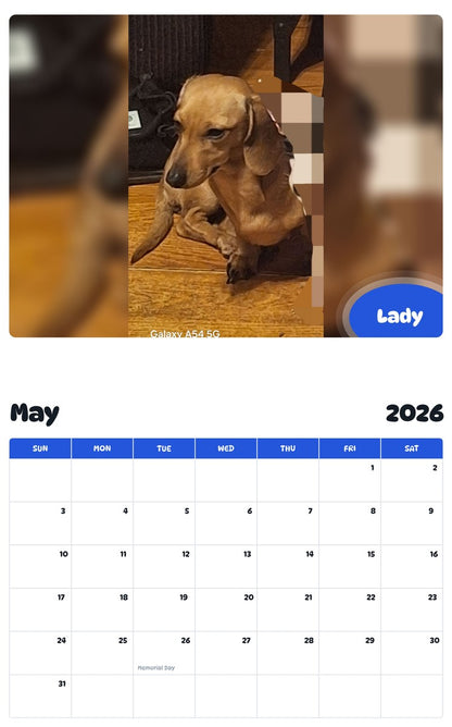 2026 - 2027 Lady - Pawidols Pet Calendar