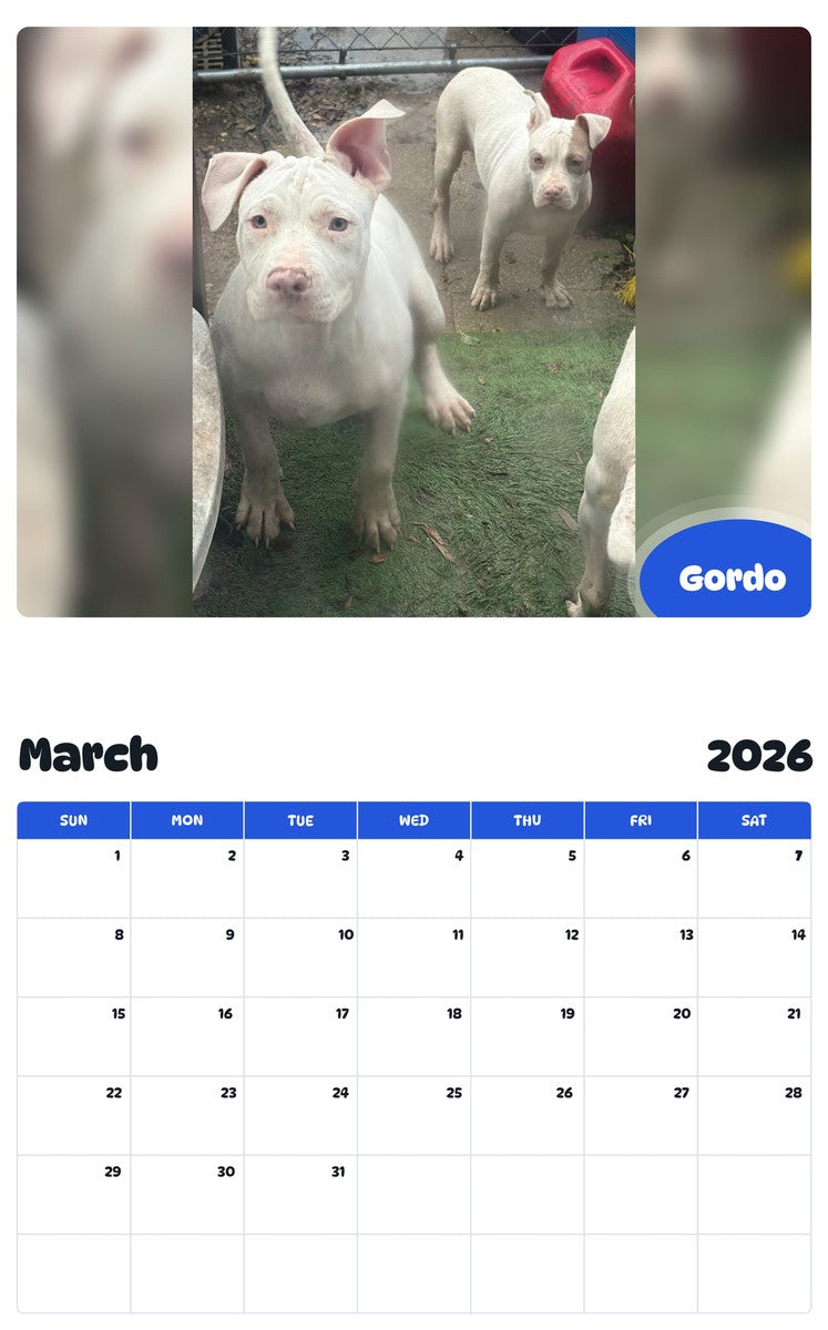 November 2025 - October 2026 Gordo - Pawidols Pet Calendar