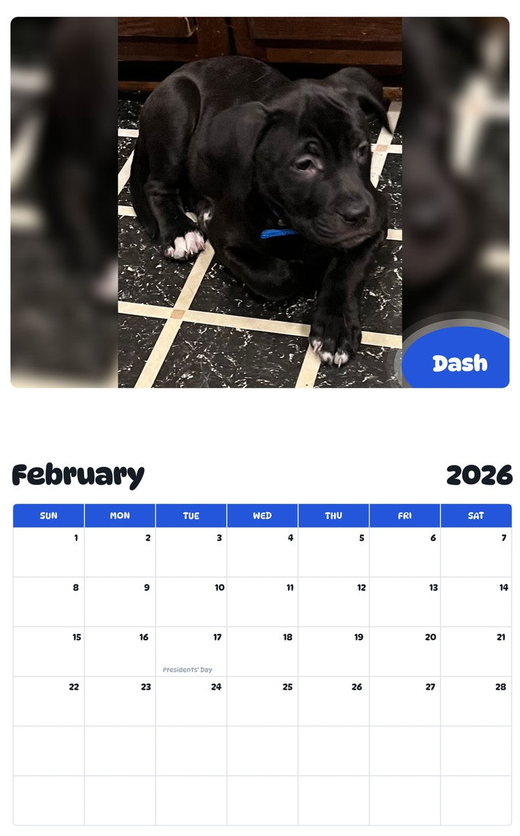 November 2025 - October 2026 Dash - Pawidols Pet Calendar