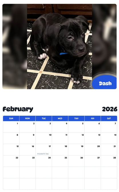 November 2025 - October 2026 Dash - Pawidols Pet Calendar
