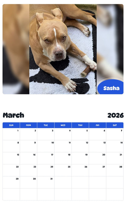 November 2025 - October 2026 Sasha - Pawidols Pet Calendar