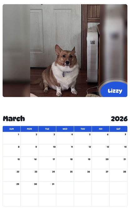 November 2025 - October 2026 Lizzy - Pawidols Pet Calendar