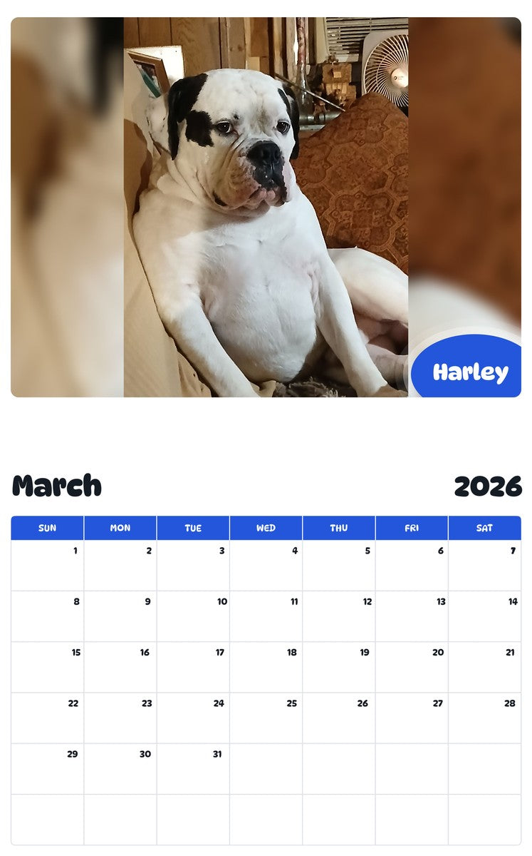 November 2025 - October 2026 Harley - Pawidols Pet Calendar
