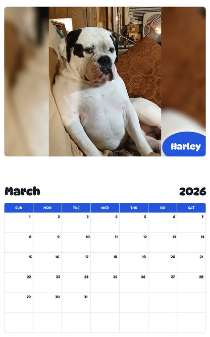 November 2025 - October 2026 Harley - Pawidols Pet Calendar