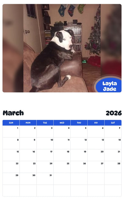 November 2025 - October 2026 Layla Jade - Pawidols Pet Calendar