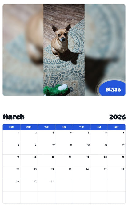November 2025 - October 2026 Blaze - Pawidols Pet Calendar