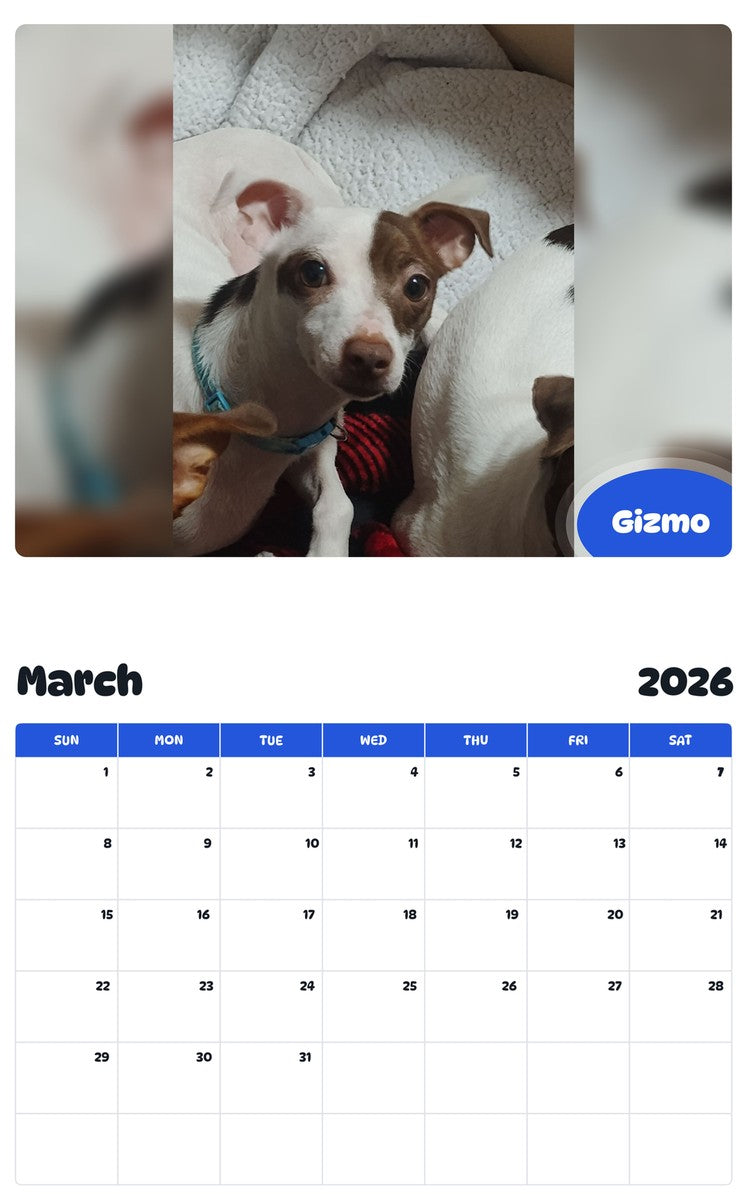 November 2025 - October 2026 Gizmo - Pawidols Pet Calendar