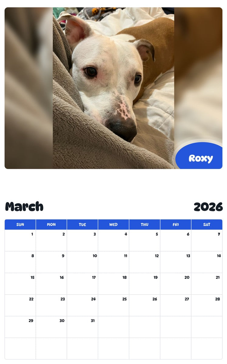 November 2025 - October 2026 Roxy - Pawidols Pet Calendar