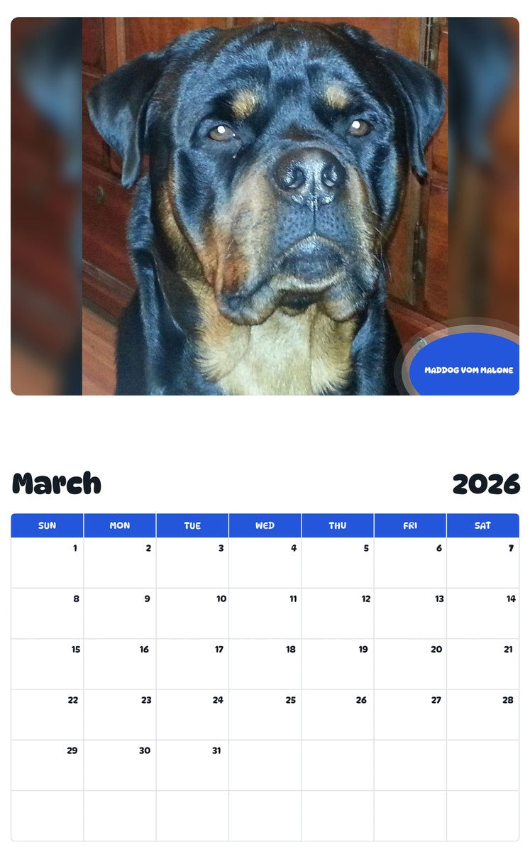 November 2025 - October 2026 MADDOG VOM MALONE - Pawidols Pet Calendar