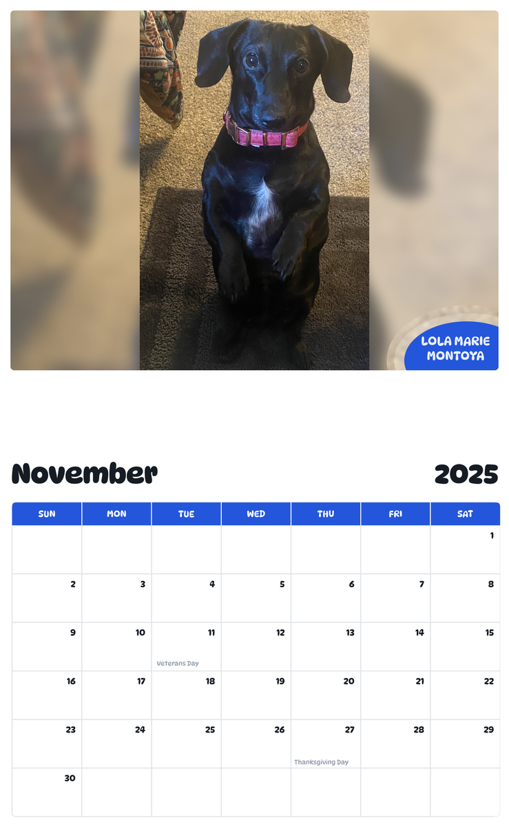 July 2025 - June 2026 Lola Marie Montoya - Pawidols Pet Calendar