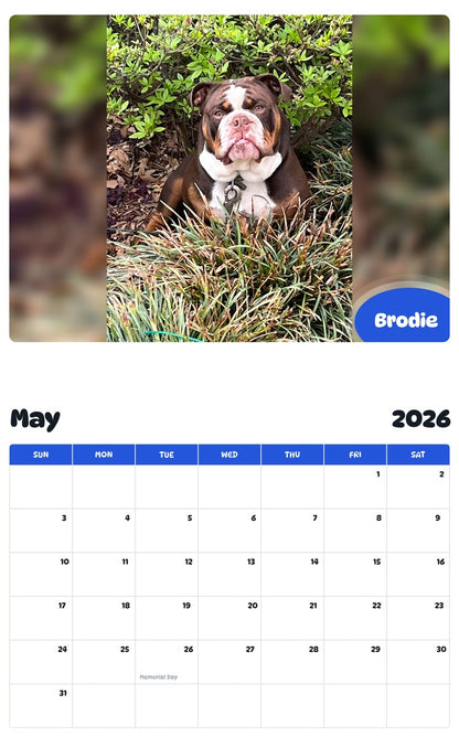2026 - 2027 Brodie - Pawidols Pet Calendar