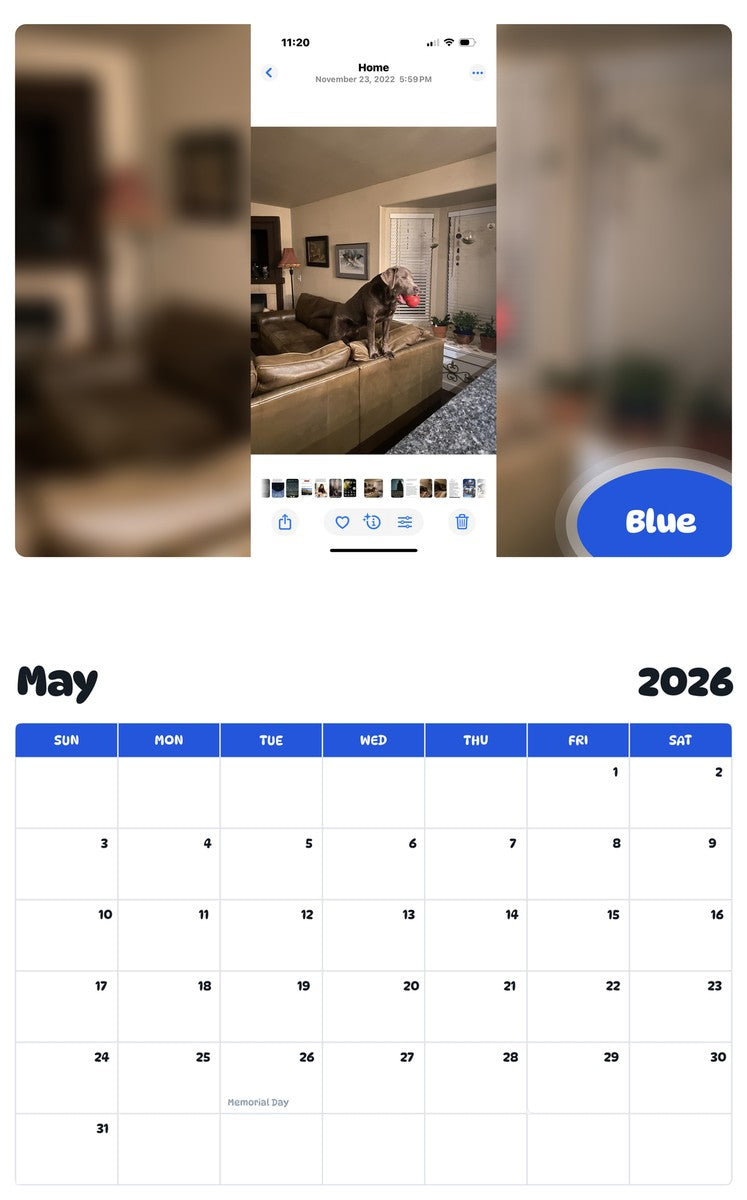 2026 - 2027 Blue - Pawidols Pet Calendar