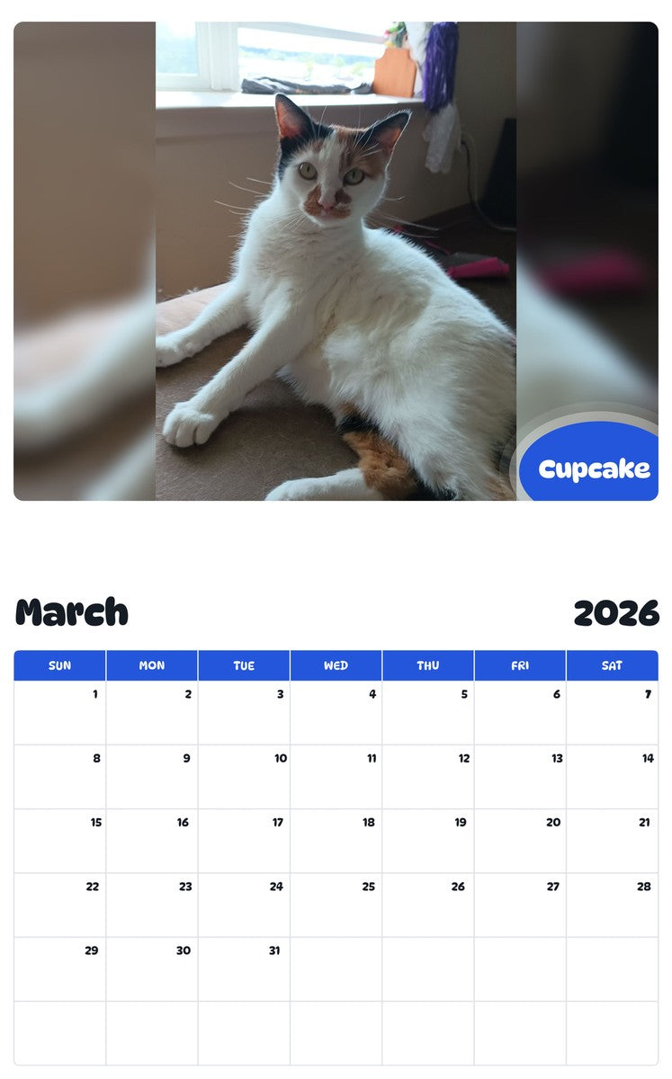 November 2025 - October 2026 Cupcake - Pawidols Pet Calendar