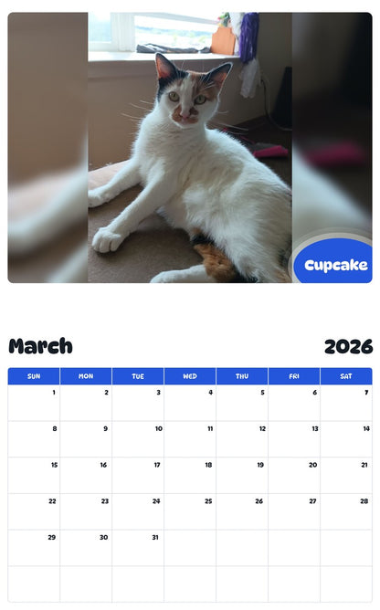 November 2025 - October 2026 Cupcake - Pawidols Pet Calendar
