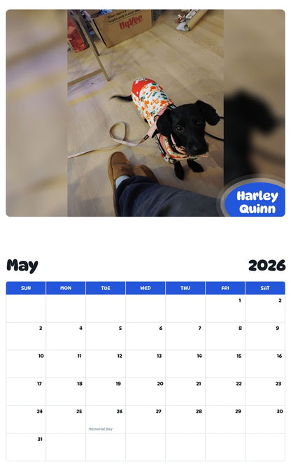 2026 - 2027 Harley Quinn - Pawidols Pet Calendar