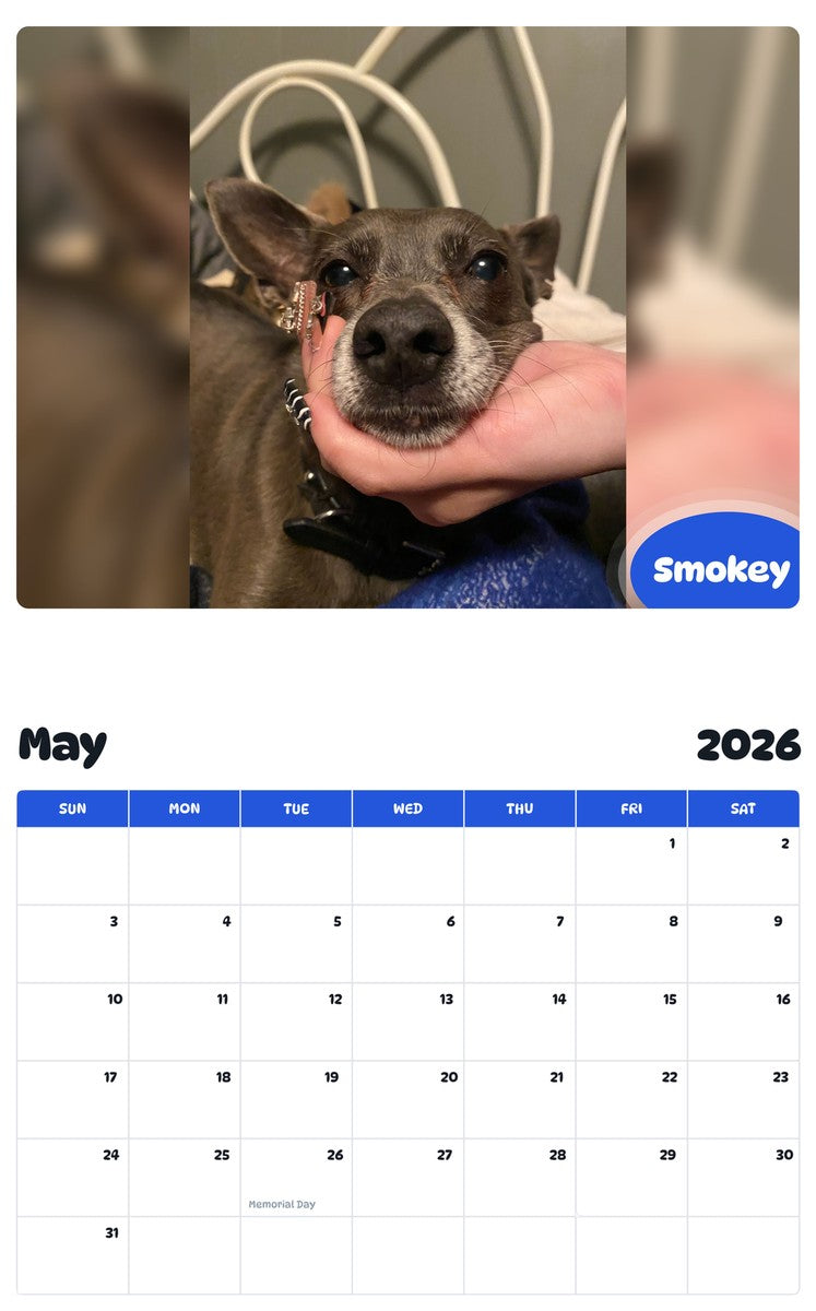 2026 - 2027 Smokey - Pawidols Pet Calendar
