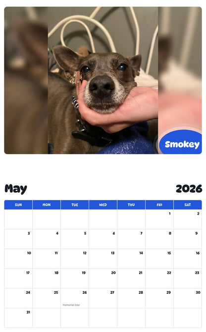 2026 - 2027 Smokey - Pawidols Pet Calendar