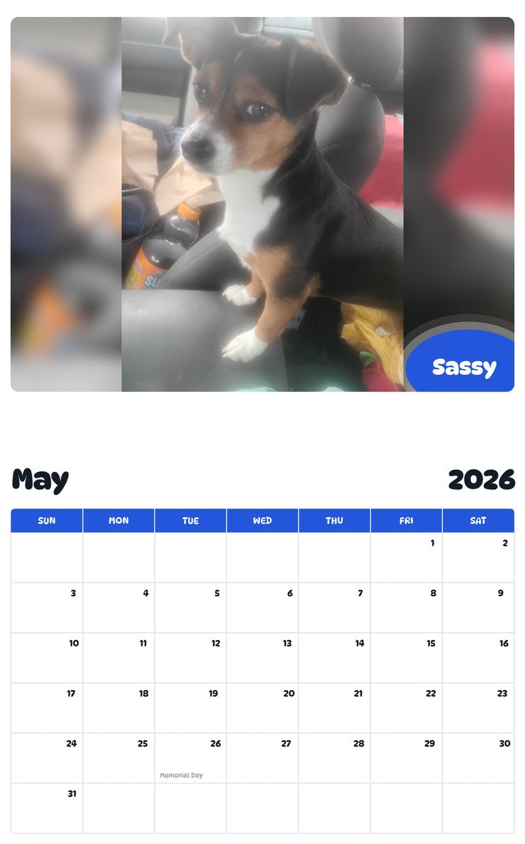 2026 - 2027 Sassy - Pawidols Pet Calendar