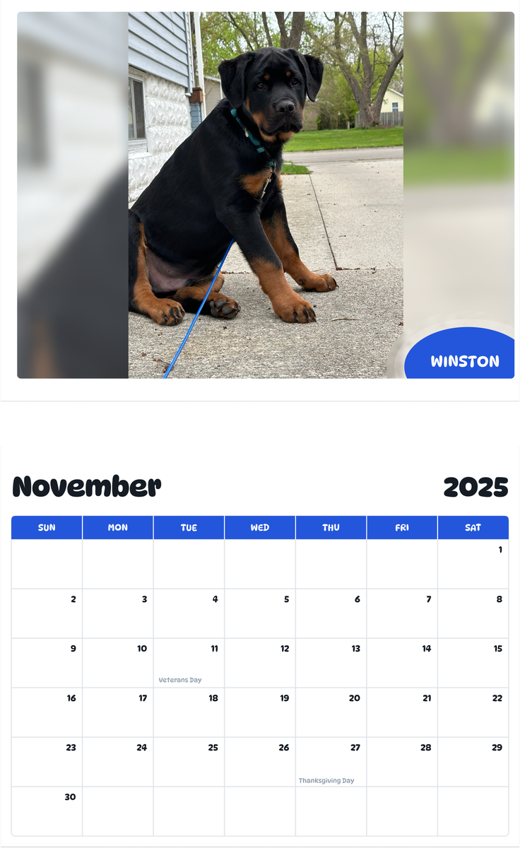 July 2025 - June 2026 Winston - Pawidols Pet Calendar