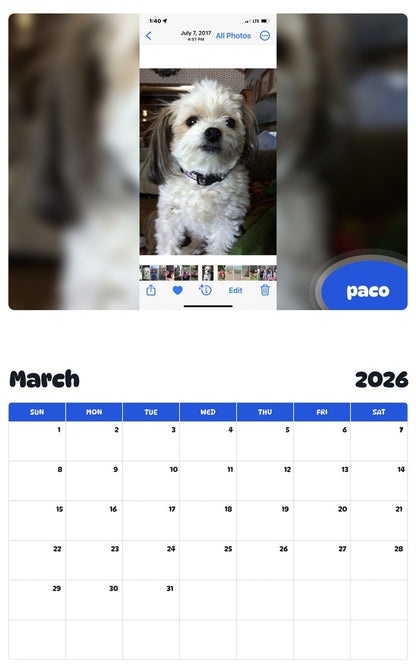 November 2025 - October 2026 paco - Pawidols Pet Calendar