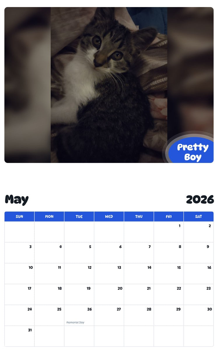 2026 - 2027 Pretty Boy - Pawidols Pet Calendar