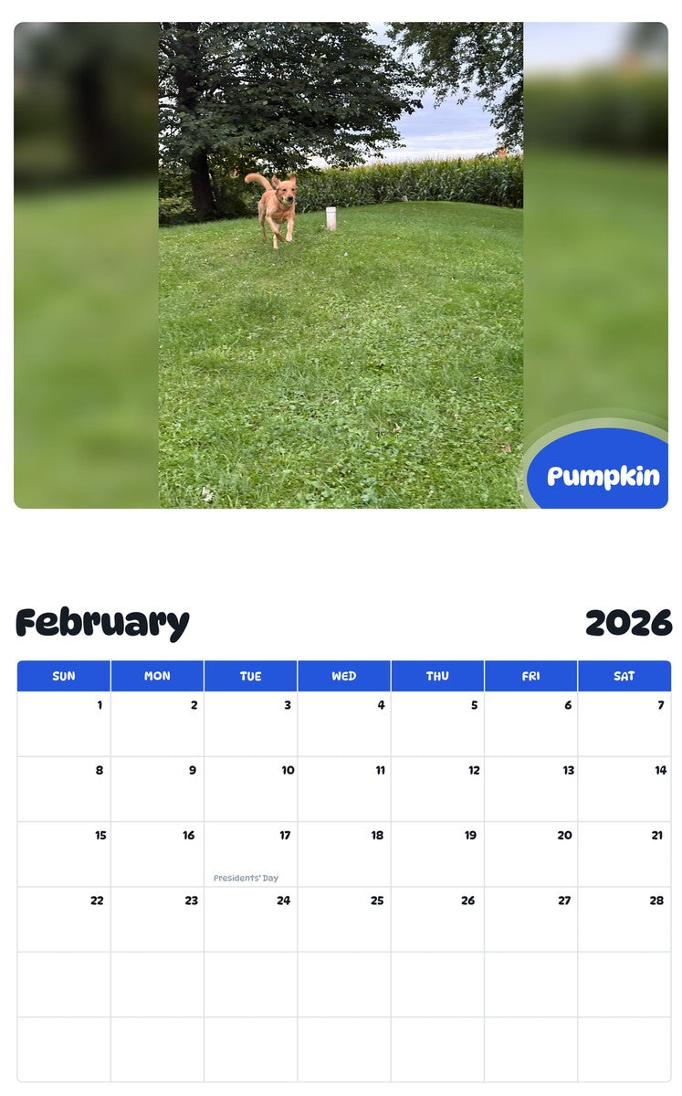 October 2025 - September 2026 Pumpkin - Pawidols Pet Calendar