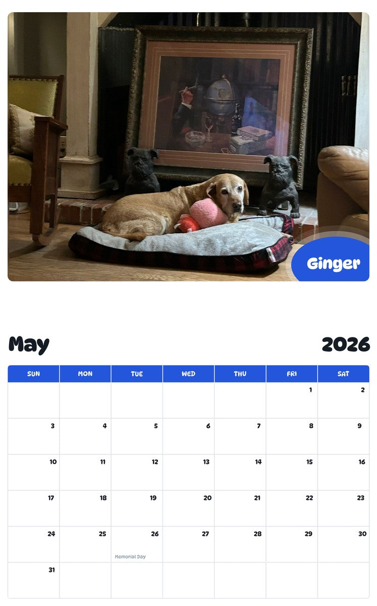 2026 - 2027 Ginger - Pawidols Pet Calendar