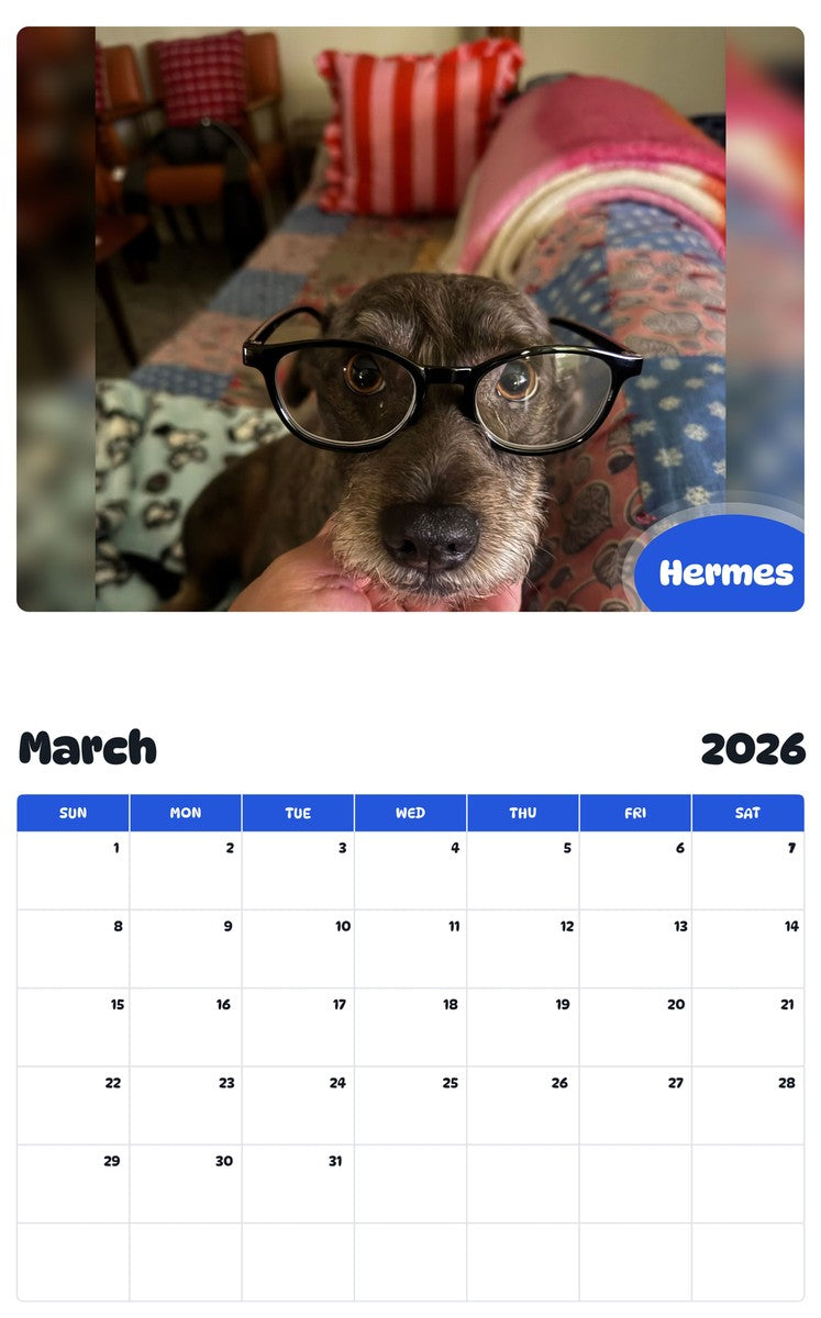 November 2025 - October 2026 Hermes - Pawidols Pet Calendar
