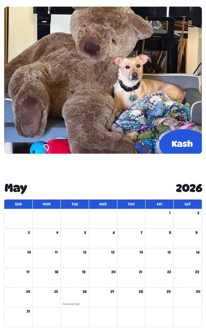 2026 - 2027 Kash - Pawidols Pet Calendar
