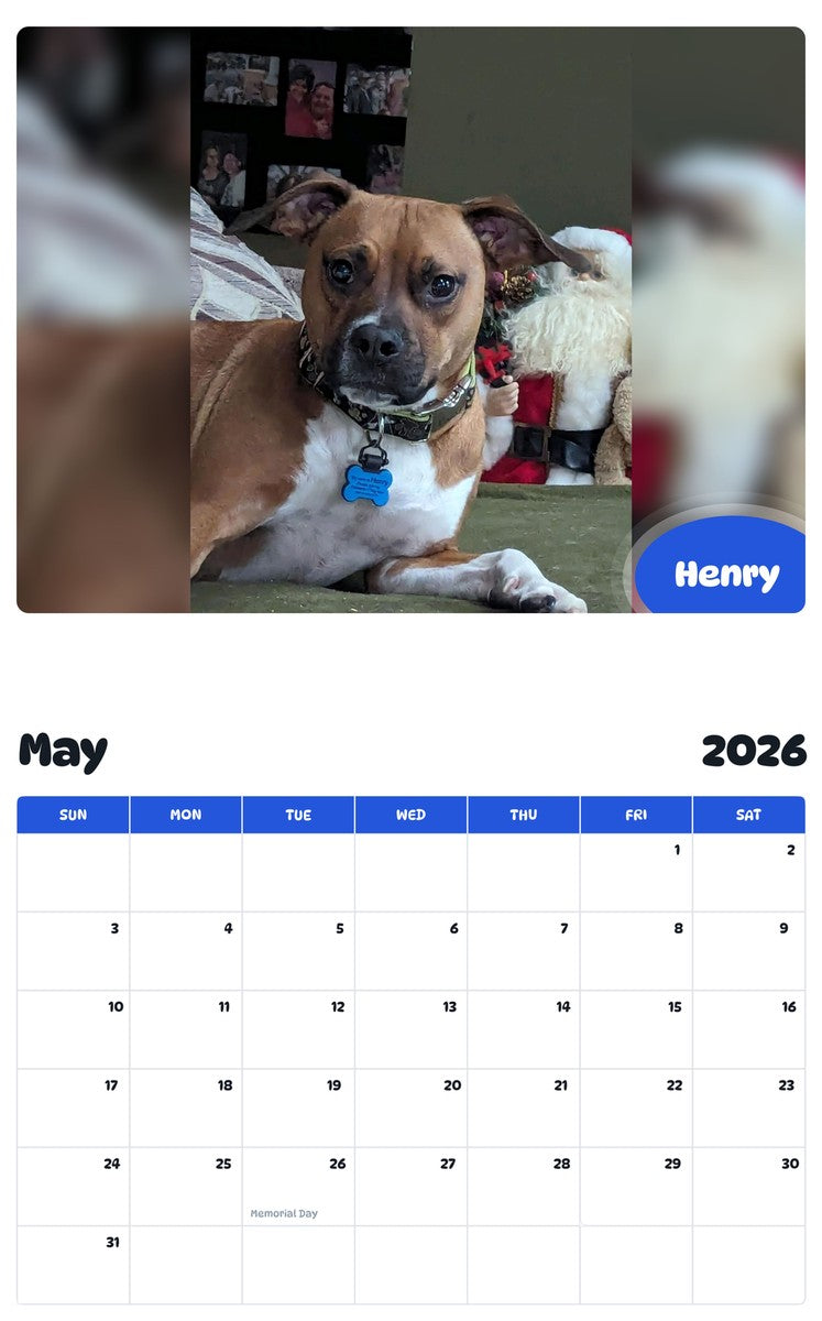 2026 - 2027 Henry - Pawidols Pet Calendar
