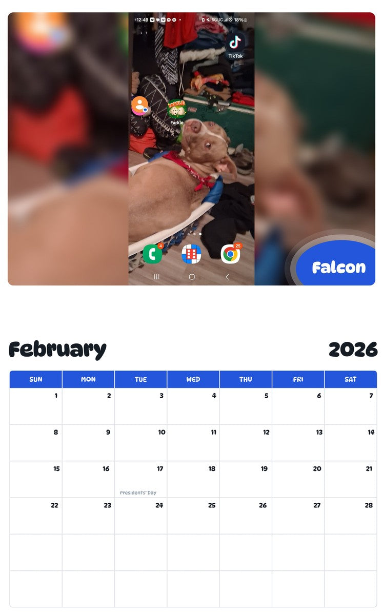 November 2025 - October 2026 Falcon - Pawidols Pet Calendar