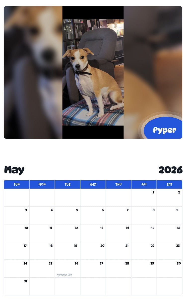 2026 - 2027 Pyper - Pawidols Pet Calendar