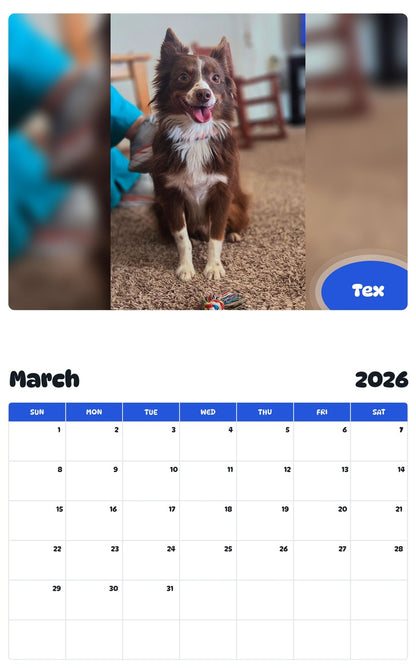 November 2025 - October 2026 Tex - Pawidols Pet Calendar