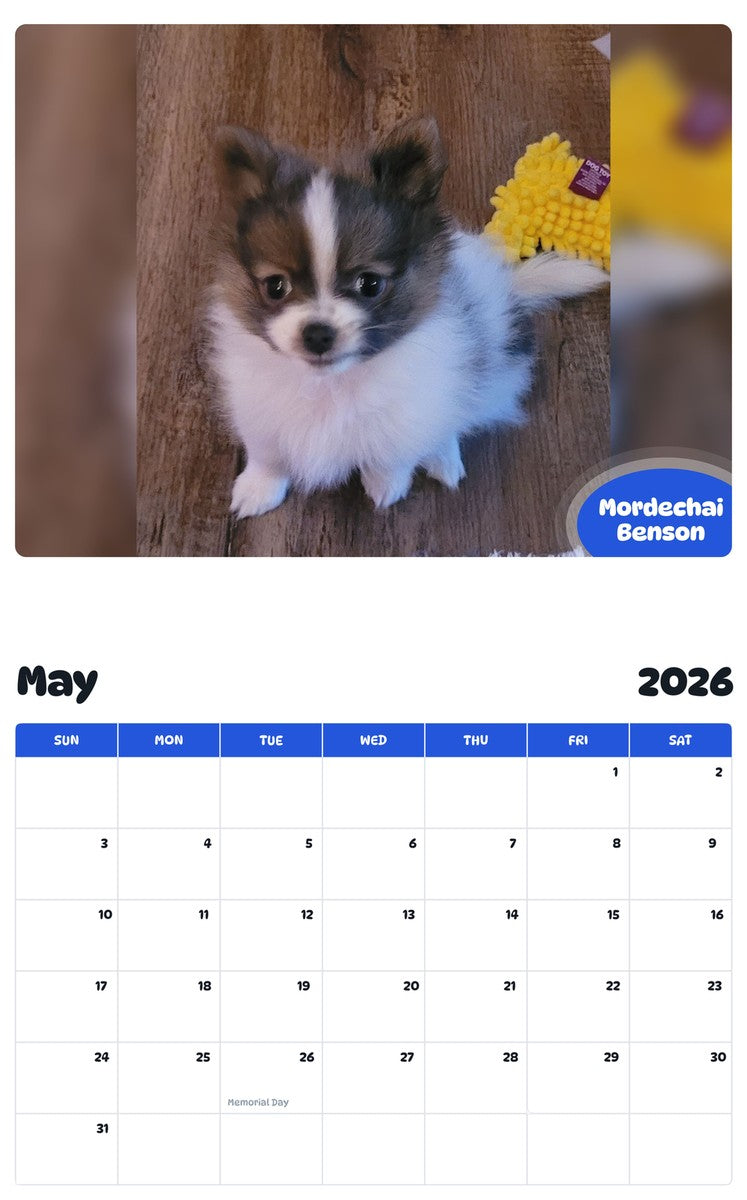 2026 - 2027 Mordechai Benson - Pawidols Pet Calendar