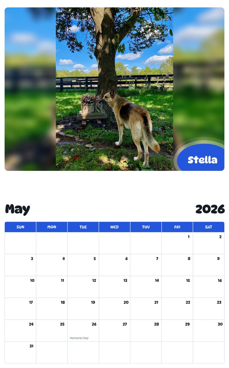 2026 - 2027 Stella - Pawidols Pet Calendar