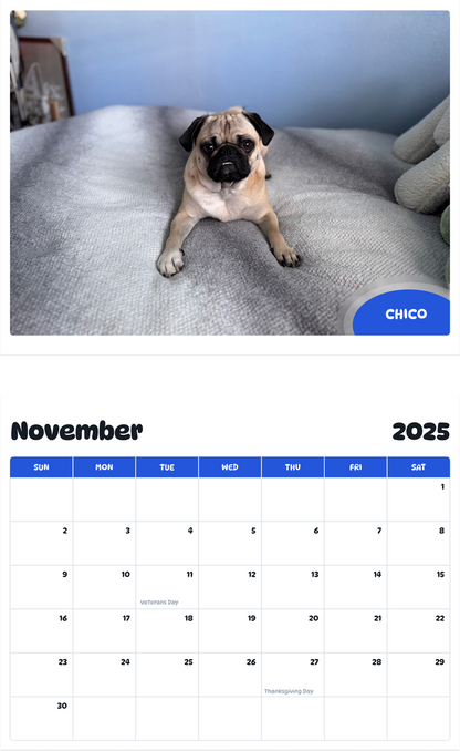 July 2025 - June 2026 Chico - Pawidols Pet Calendar