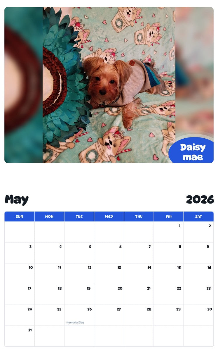2026 - 2027 Daisy mae - Pawidols Pet Calendar