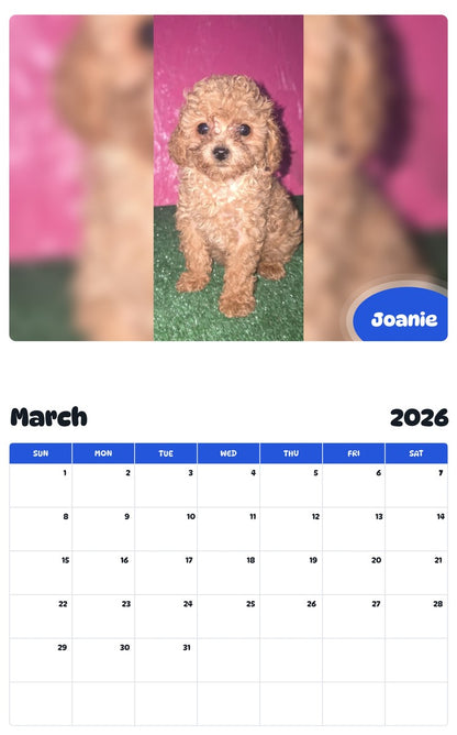 November 2025 - October 2026 Joanie - Pawidols Pet Calendar