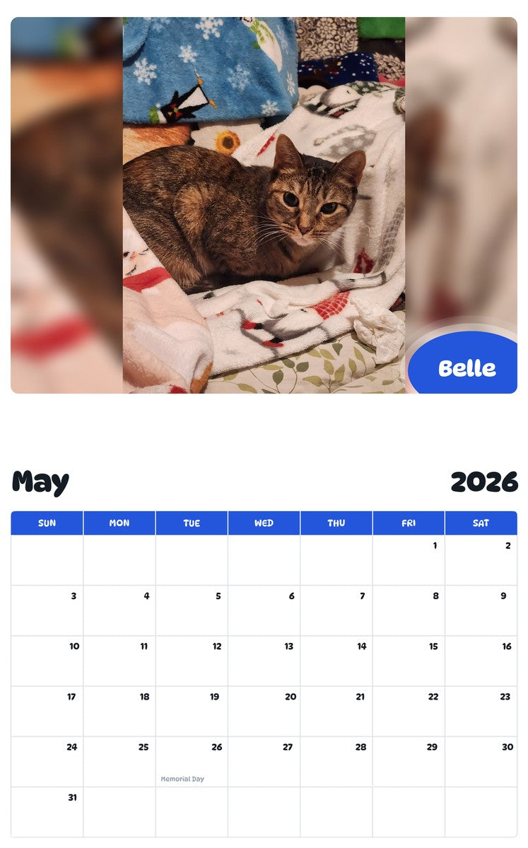 2026 - 2027 Belle - Pawidols Pet Calendar