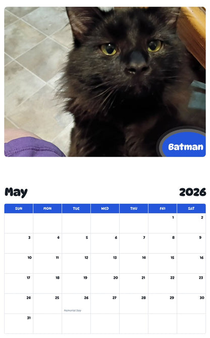 2026 - 2027 Batman - Pawidols Pet Calendar