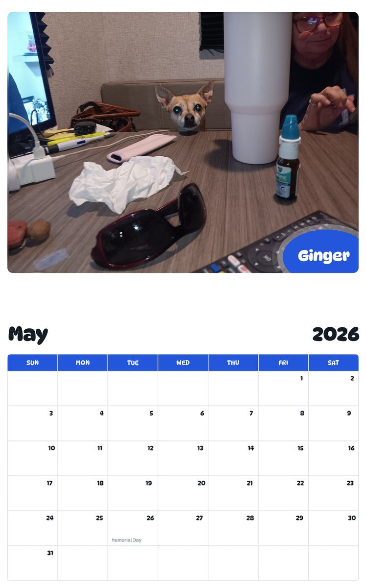 2026 - 2027 Ginger - Pawidols Pet Calendar