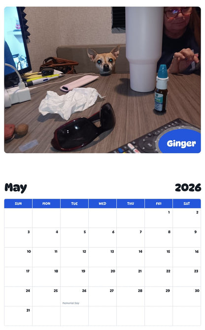 2026 - 2027 Ginger - Pawidols Pet Calendar