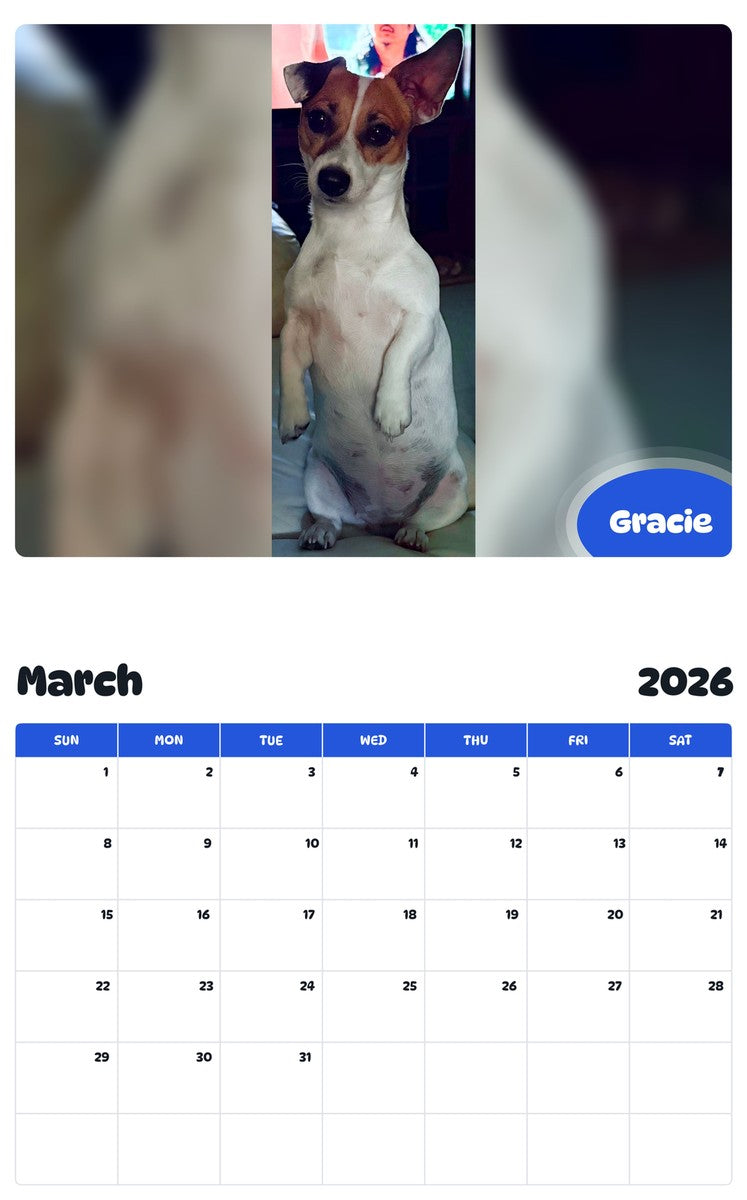 November 2025 - October 2026 Gracie - Pawidols Pet Calendar