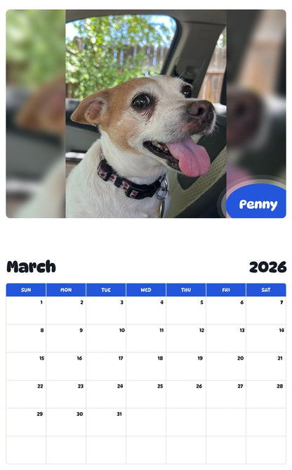 November 2025 - October 2026 Penny - Pawidols Pet Calendar