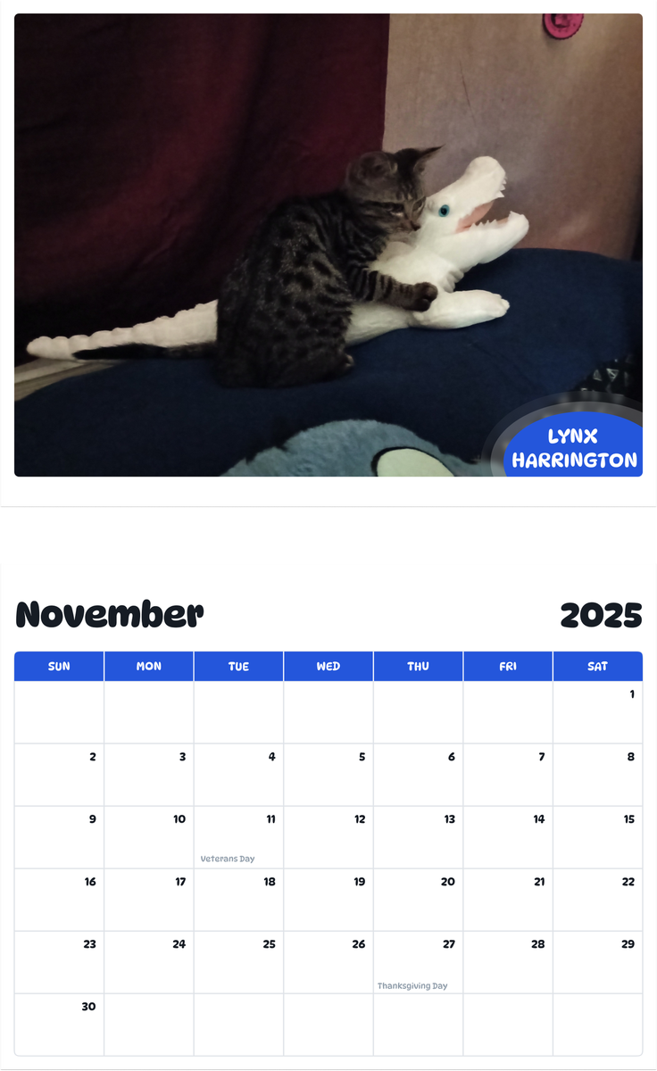 July 2025 - June 2026 Lynx Harrington - Pawidols Pet Calendar