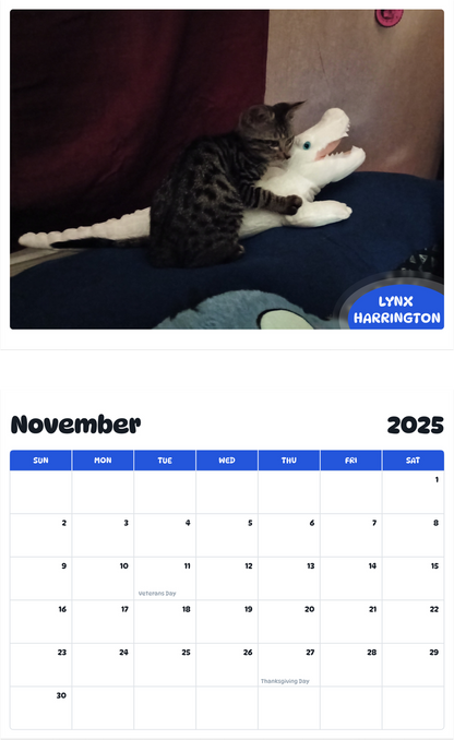 July 2025 - June 2026 Lynx Harrington - Pawidols Pet Calendar