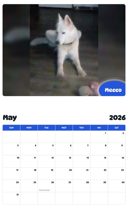 2026 - 2027 Mecco - Pawidols Pet Calendar