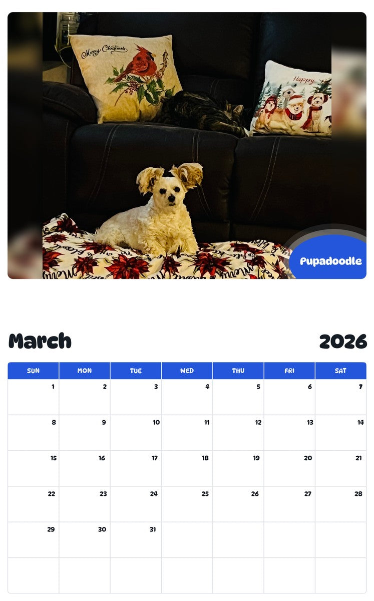 November 2025 - October 2026 Pupadoodle - Pawidols Pet Calendar