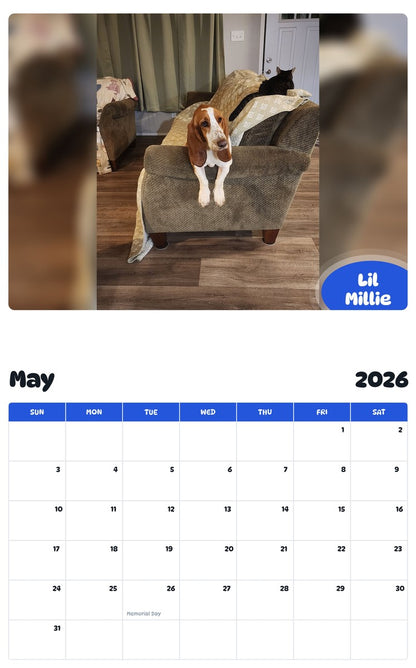 2026 - 2027 Lil Millie - Pawidols Pet Calendar