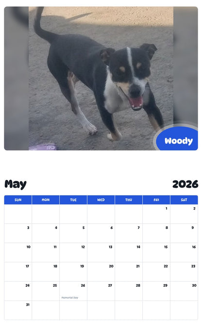 2026 - 2027 Woody - Pawidols Pet Calendar
